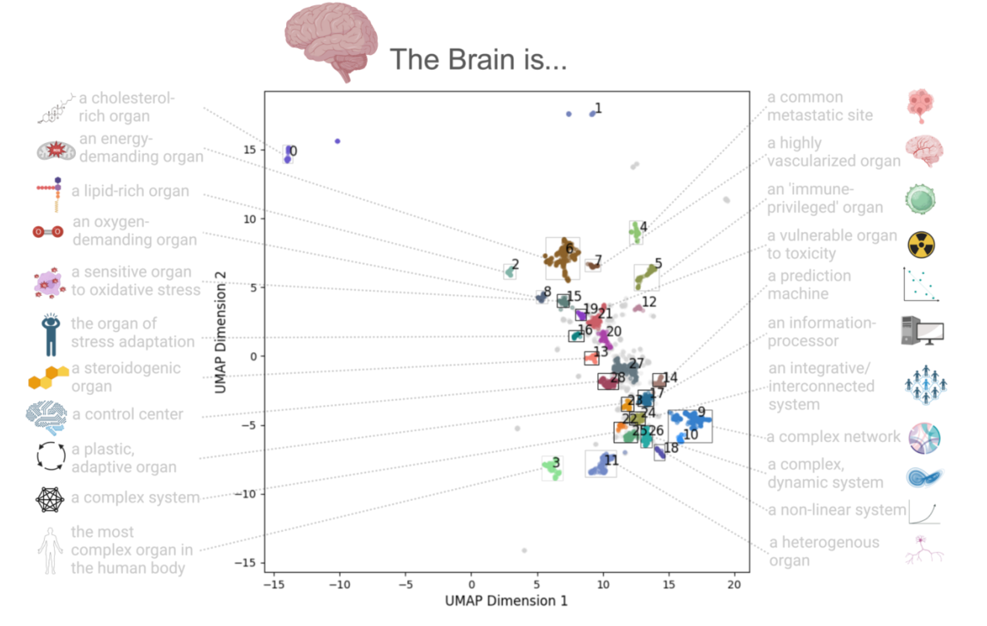 Unraveling Causality in Neuroscience