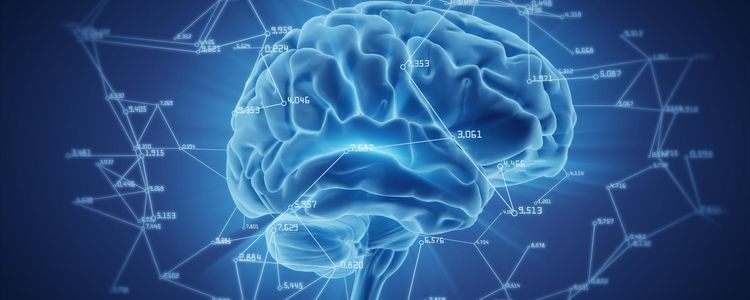 How to Learn Programming for Computational Neuroscience 🧠- Self-Study Guide