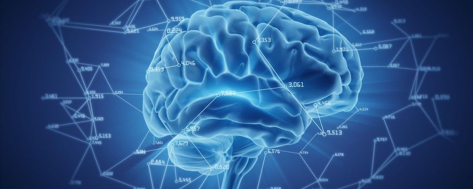 How to Learn Programming for Computational Neuroscience đź§ - Self-Study Guide